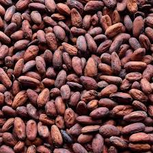 Cocoa grains